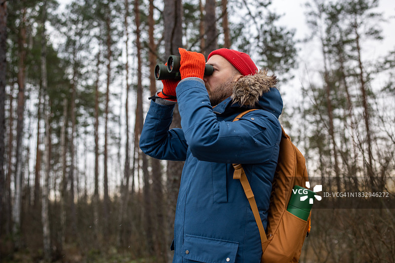 专注的男人在冬季森林里用双筒望远镜观鸟，在自然界中研究，爱好图片素材