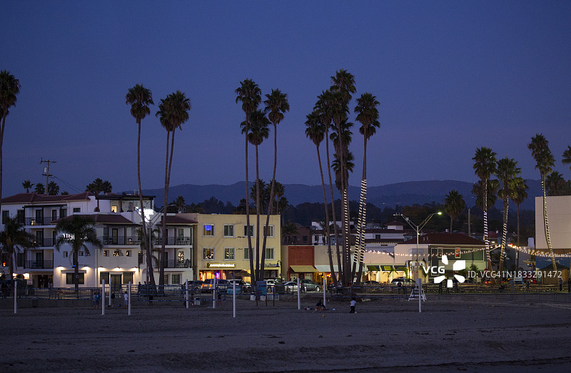 圣克鲁斯市的棕榈树图片素材