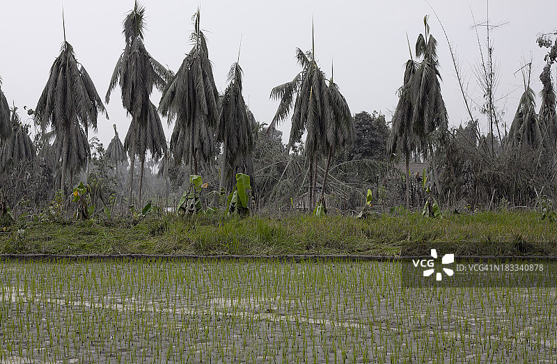 火山爆发对自然的影响图片素材