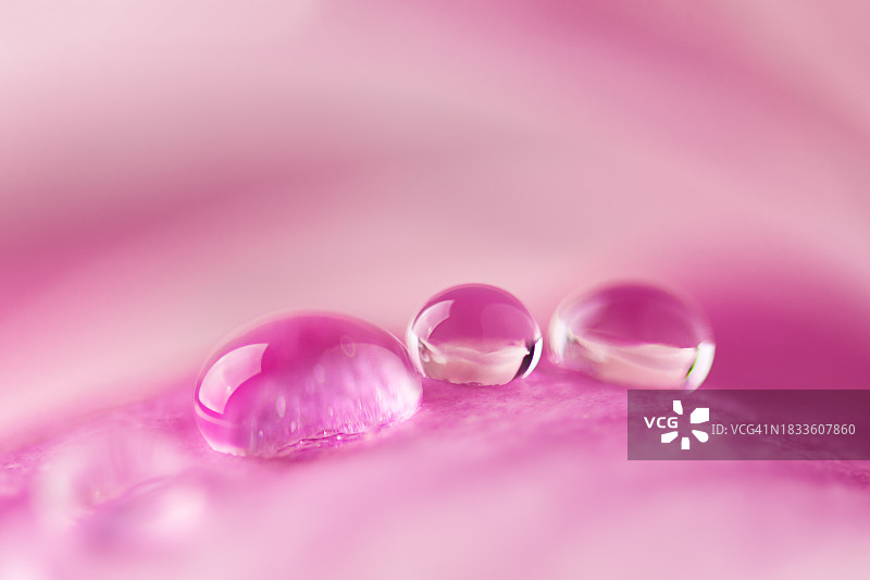 气泡特写图片素材