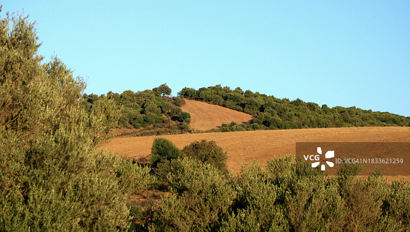 晴空映衬下的田野美景图片素材