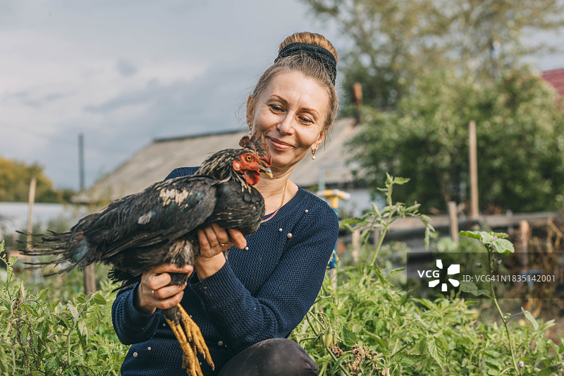 在农场里，一位梳着发髻抱着公鸡的微笑女人图片素材