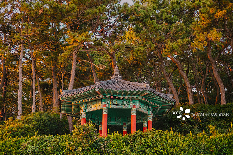 韩国釜山塔附近的传统风格亚洲建筑图片素材