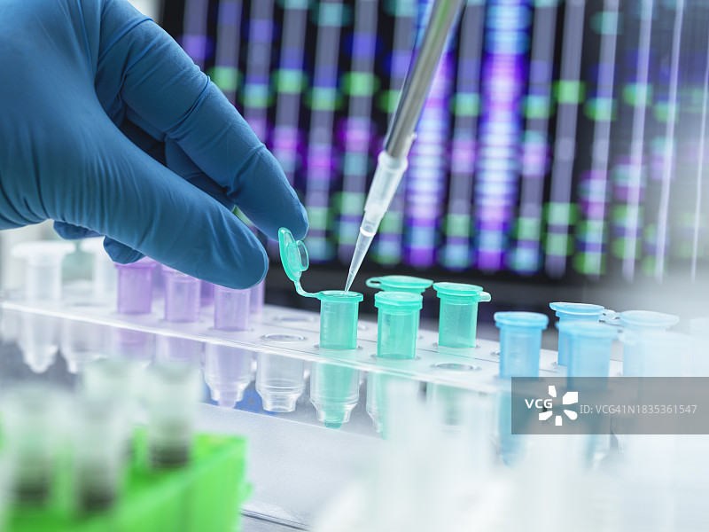 科学家将DNA样本移入离心管图片素材