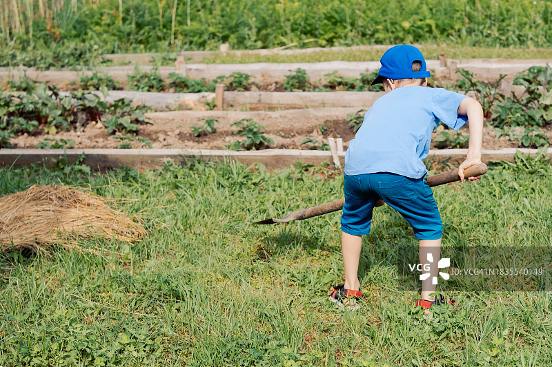 乡村男孩，9岁，用铲子挖土，留白图片素材