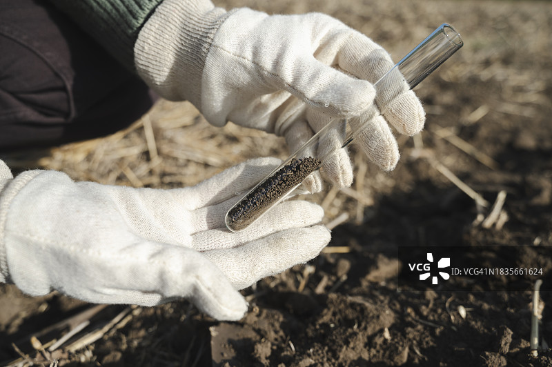 农艺师收集土壤样本进行检测的手图片素材