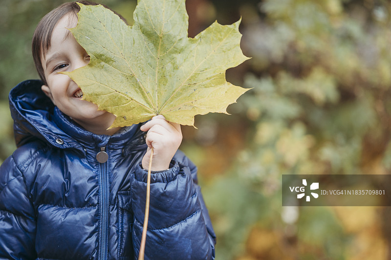 在秋季公园用枫叶遮住脸的微笑男孩图片素材