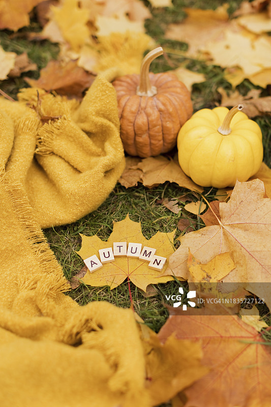 公园里枫叶上带有木制秋季字母的围巾附近的南瓜图片素材