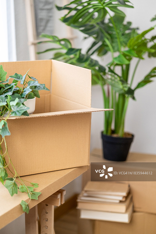 搬家时堆放在房间里的纸板箱图片素材