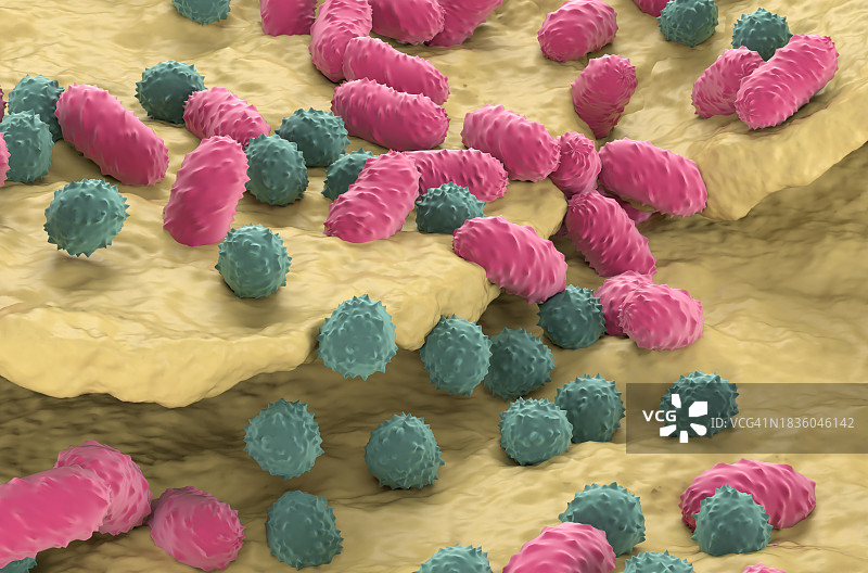 真菌性皮肤感染插图图片素材