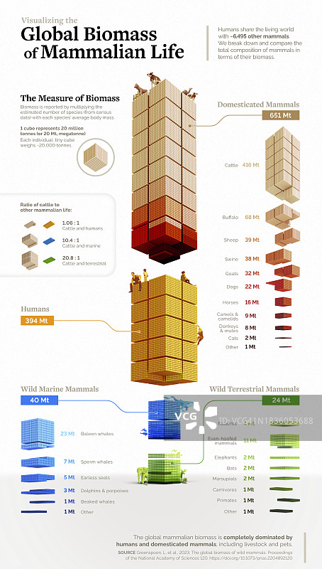地球上哺乳动物的生物量插图图片素材