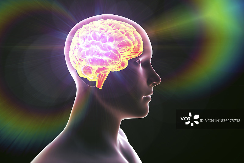 人脑产生的能量场，插图图片素材