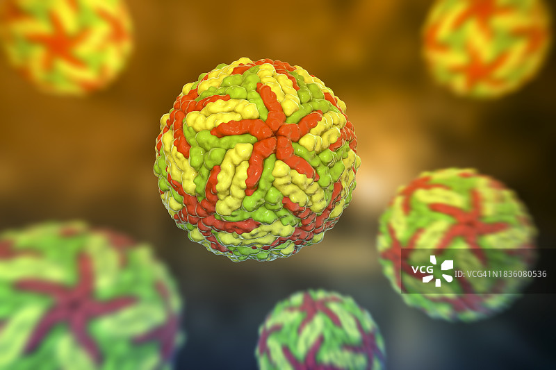 登革热病毒图示图片素材