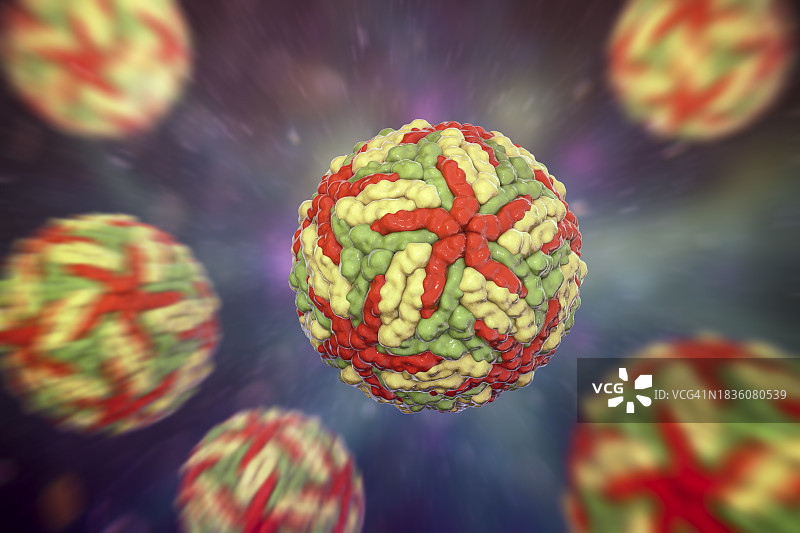 登革热病毒图示图片素材