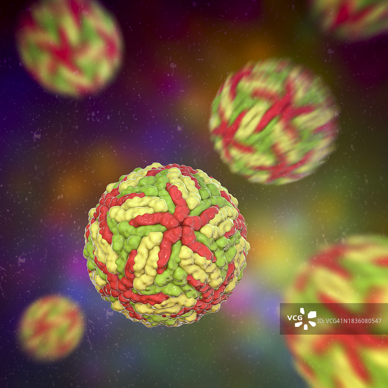 登革热病毒图示图片素材