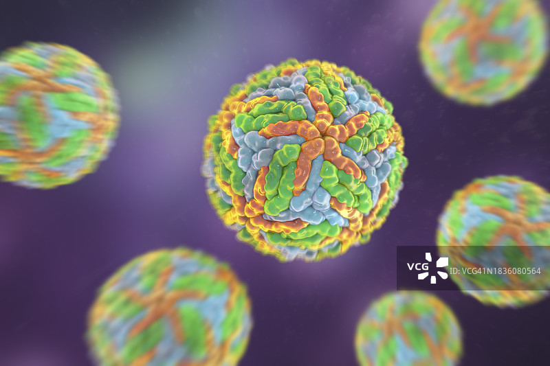 登革热病毒图示图片素材