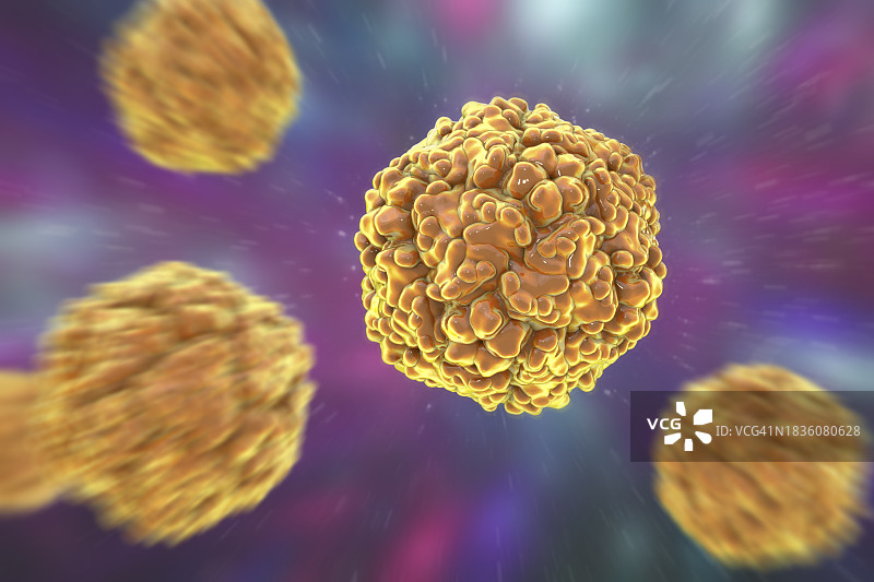 埃可病毒，图示图片素材