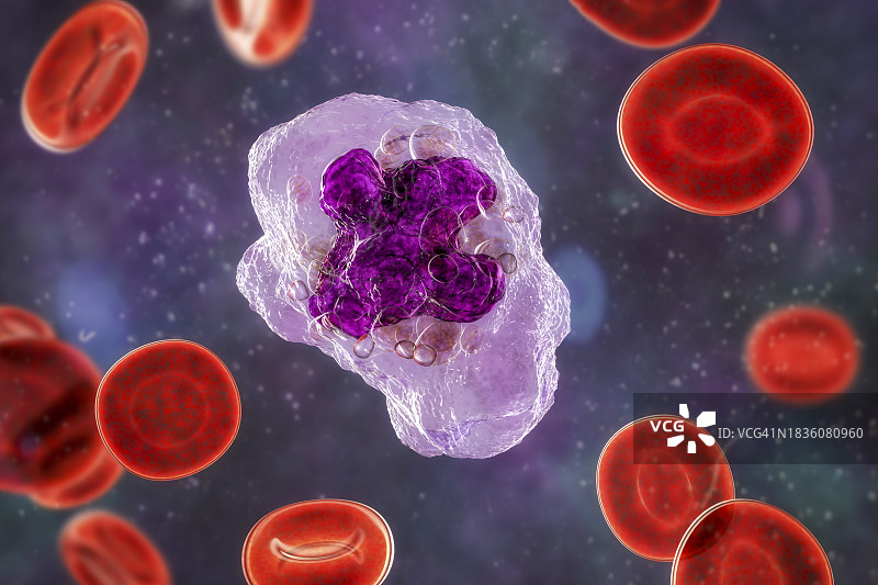 巨噬细胞插图图片素材