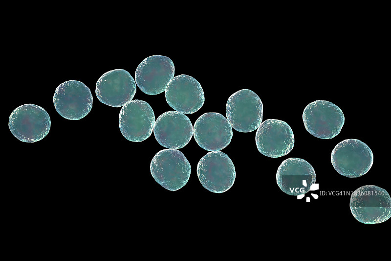 葡萄球菌细菌图图片素材