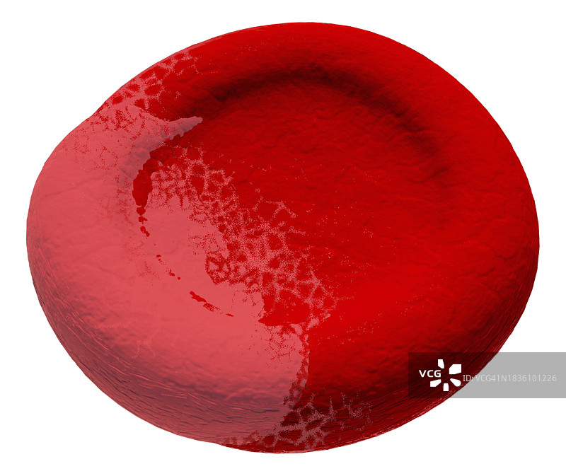 偏心红细胞异常红细胞图图片素材