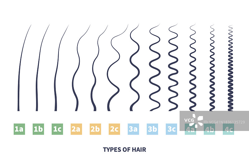 头发类型概念图图片素材