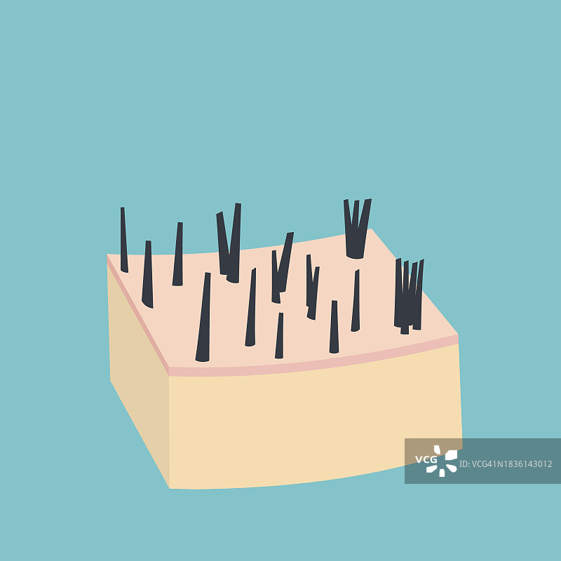 人类头发概念图图片素材