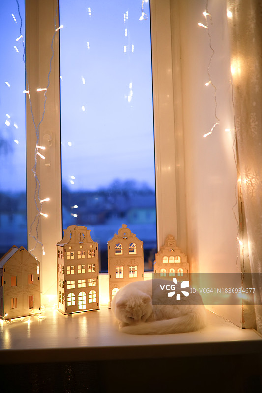 傍晚的宁静：猫咪在温馨小屋的窗台上休息图片素材