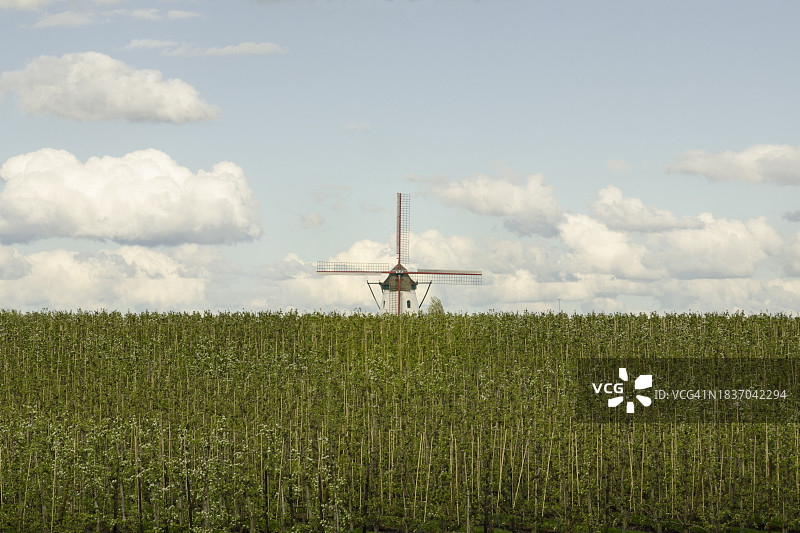 无垠之中图片素材