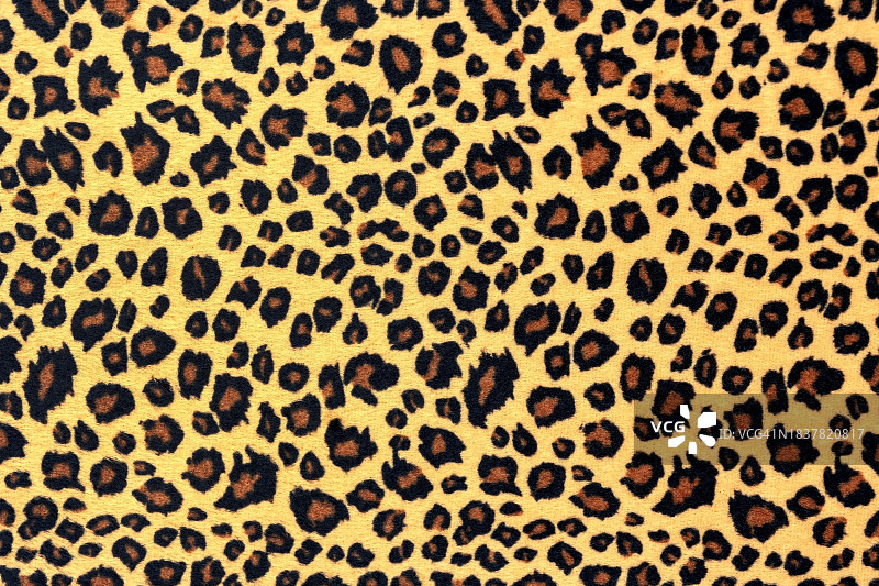 豹皮图案图片素材