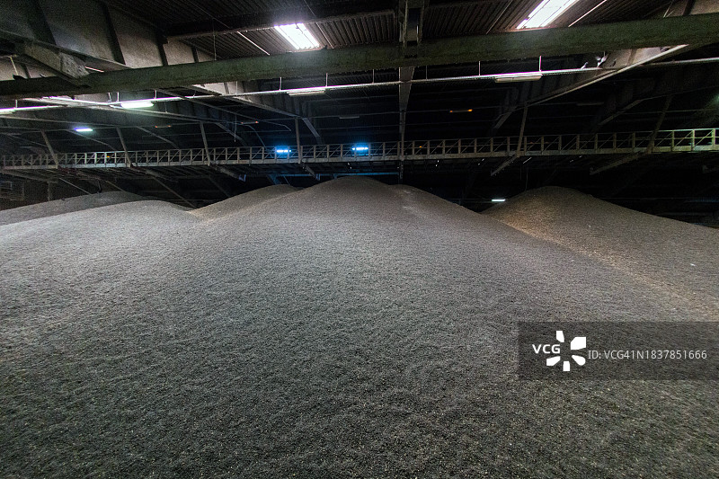 仓库中的葵花籽堆图片素材