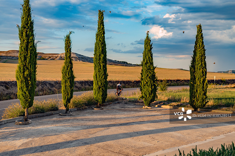 西班牙卡斯蒂利亚高原日落时分的柏树与骑行者图片素材