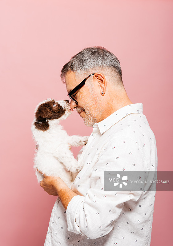 粉色影棚里，快乐的男主人与毛茸茸的舔鼻子小狗图片素材