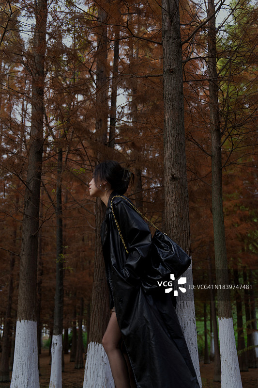 金色枫树下的时尚女人图片素材