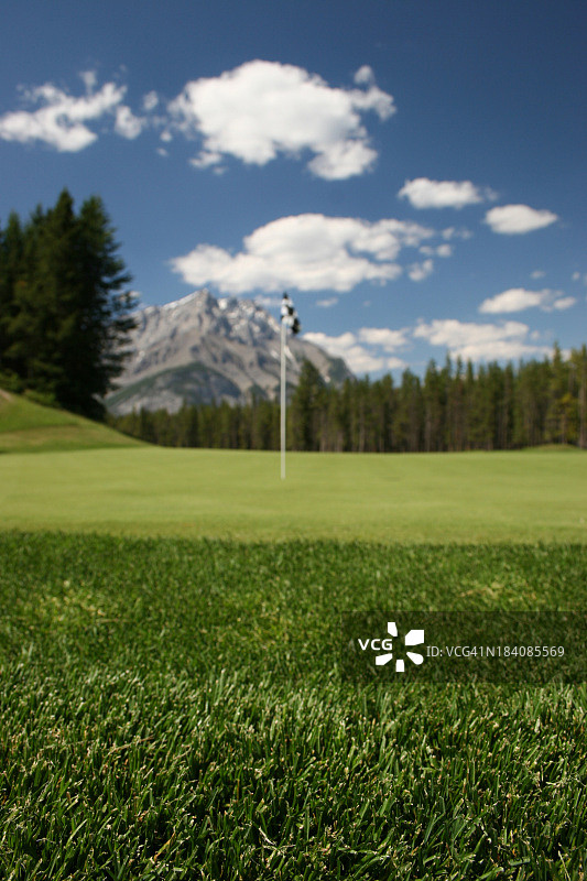 高尔夫球场果岭柔焦摄影图片素材