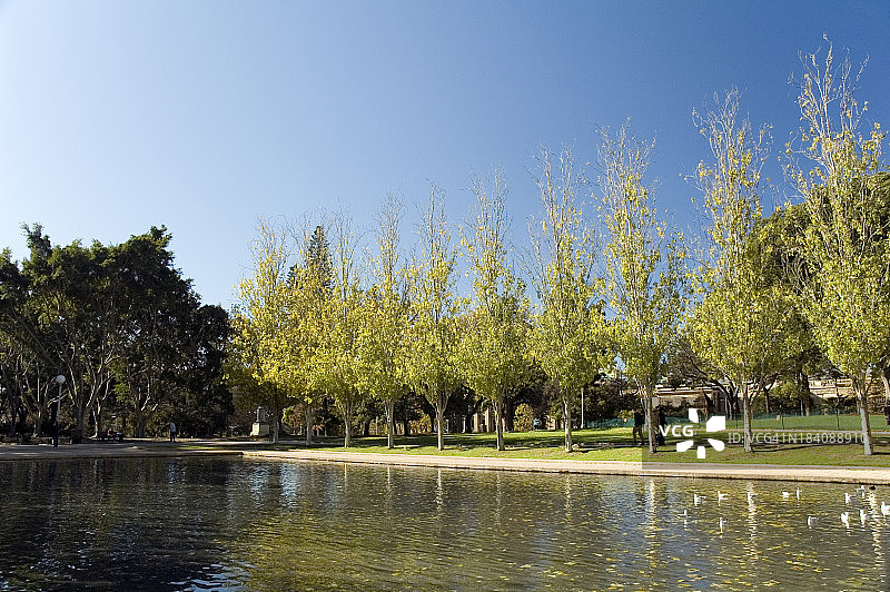 悉尼海德公园图片素材