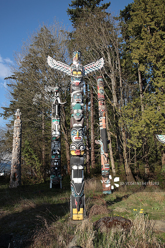 温哥华斯坦利公园的印第安图腾柱图片素材