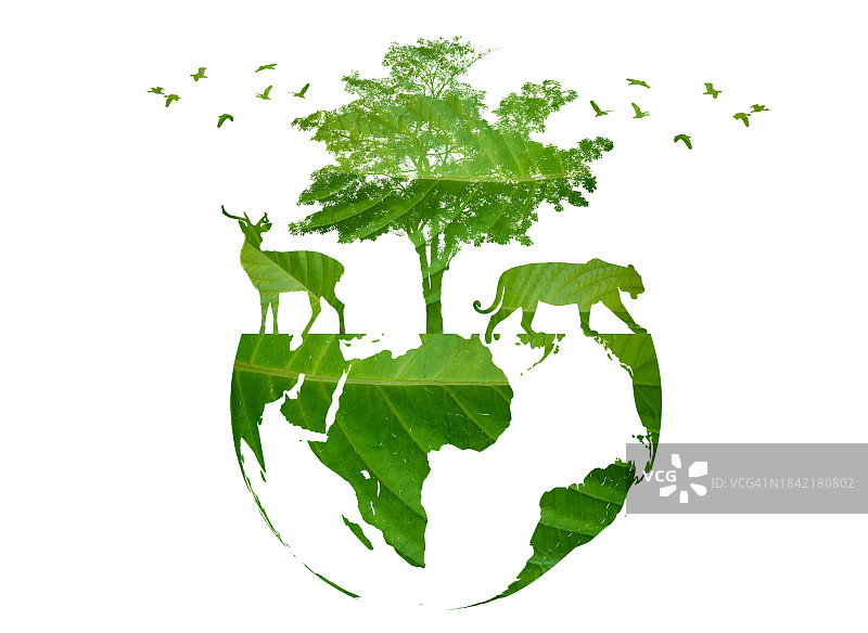 地球上的野生动物剪影野生动物保护概念图片素材