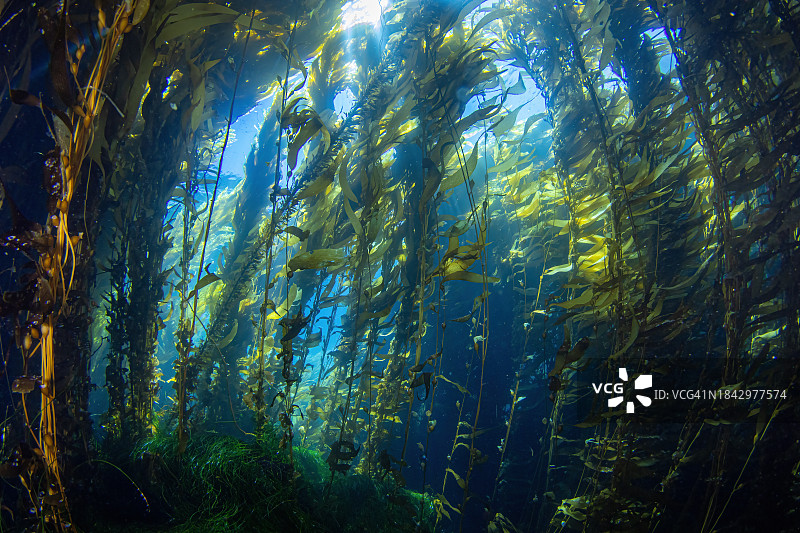 海峡国家公园图片素材