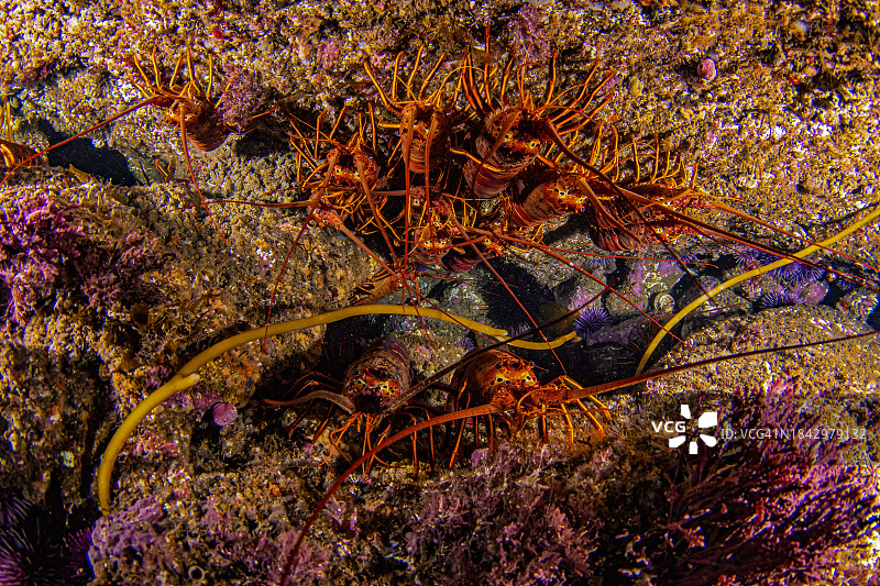 海峡国家公园图片素材