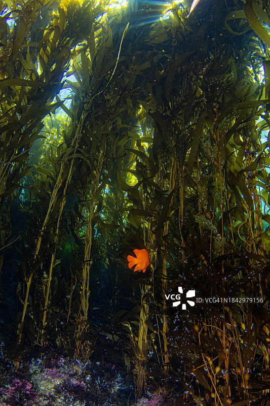 海峡国家公园图片素材