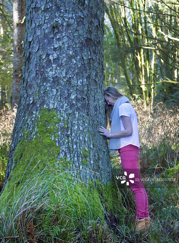 年轻女人在森林里拥抱树木图片素材
