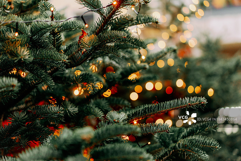 节日灯光下的绿色冷杉树背景图片素材