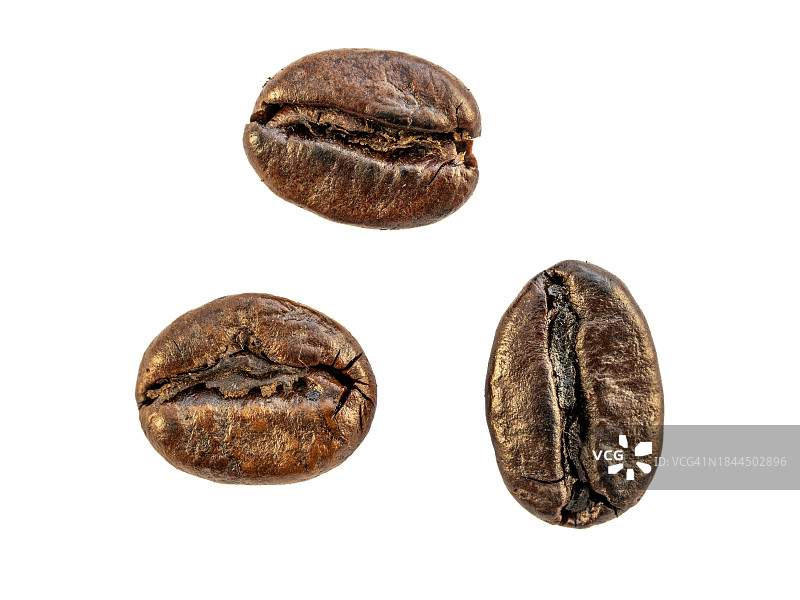 白色背景上的三颗新鲜烘焙咖啡豆图片素材