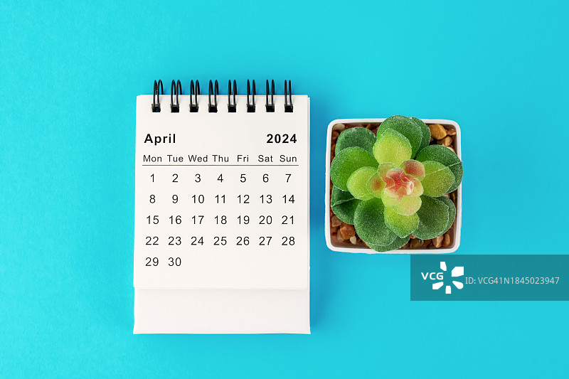 蓝色背景上的2024年4月桌面日历和盆栽图片素材