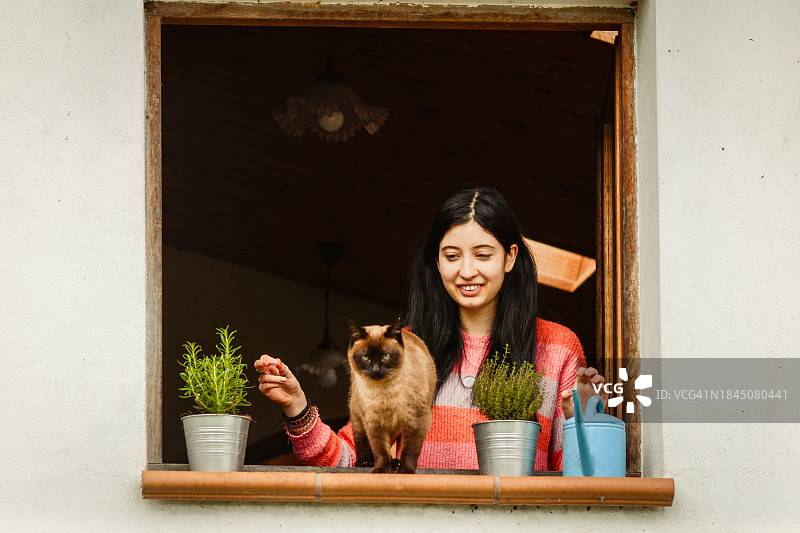 芳香植物，盆栽植物，窗台花盆，女人，猫图片素材