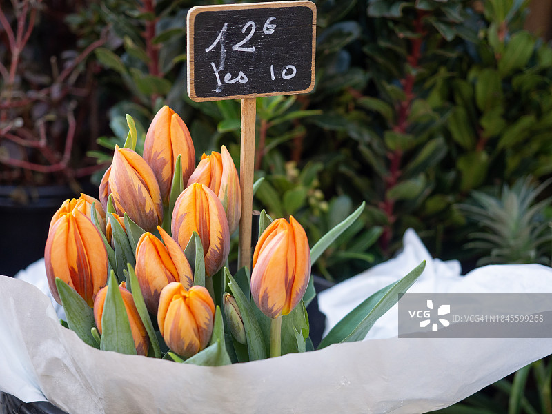 市场上出售的新鲜郁金香特写图片素材