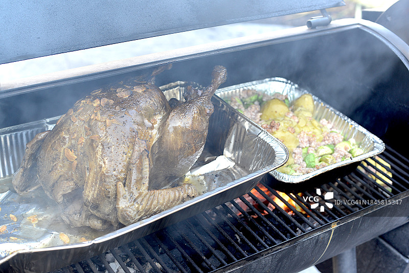 整只有机火鸡图片素材