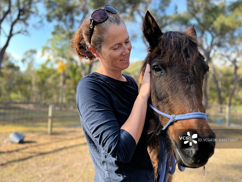 女马主爱抚马匹图片素材