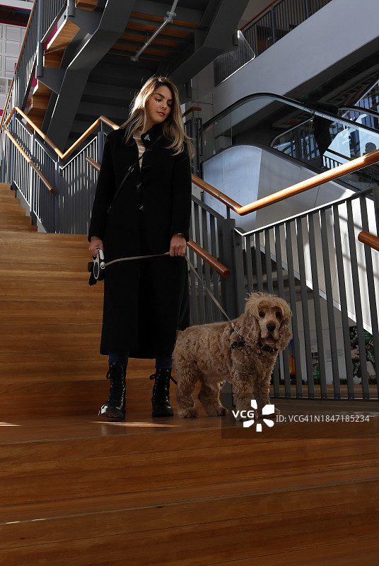 带着狗在购物中心的女人图片素材