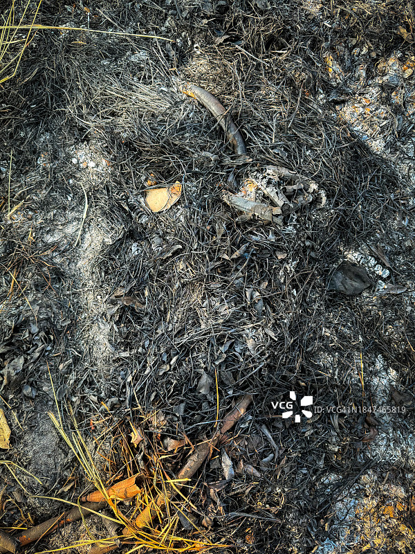 燃烧的草地灰烬图片素材